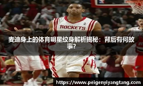 3377体育官网