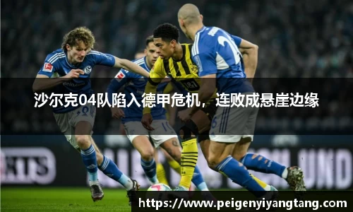 沙尔克04队陷入德甲危机，连败成悬崖边缘
