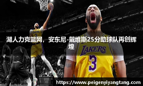 3377体育官网