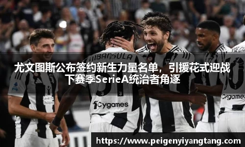 3377体育官网
