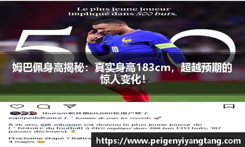 3377体育官网