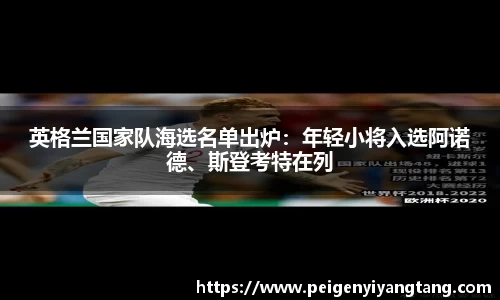 3377体育官网