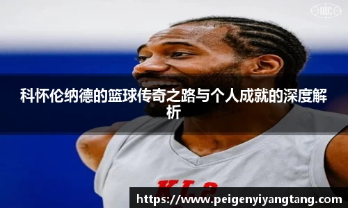 3377体育官网