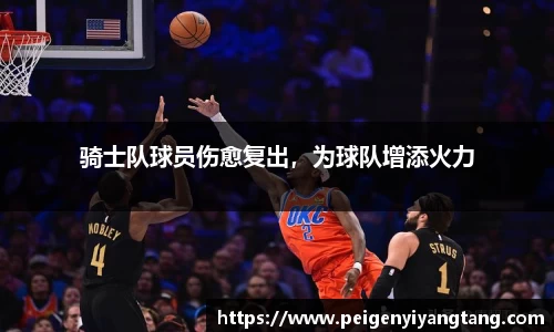 3377体育官网