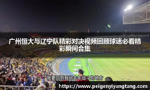 3377体育平台