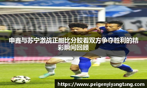 3377体育官网