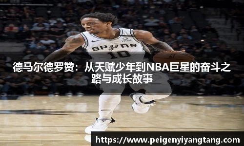 3377体育官网