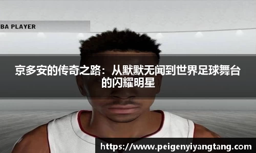 3377体育官网