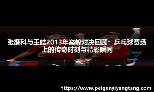 张继科与王皓2013年巅峰对决回顾：乒乓球赛场上的传奇时刻与精彩瞬间