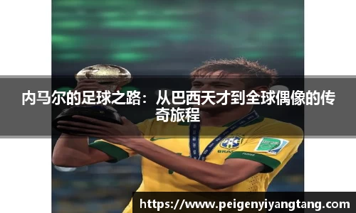 3377体育官网