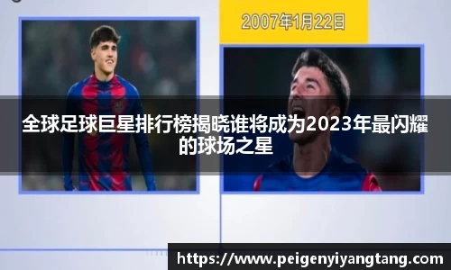 3377体育官网