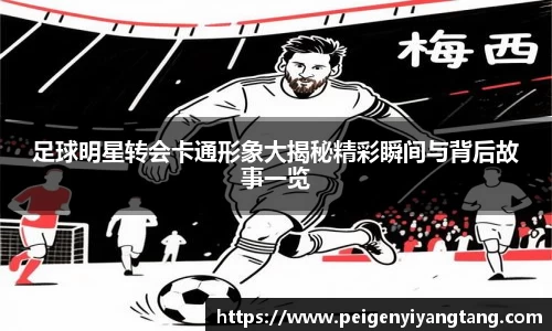 3377体育官网