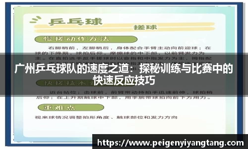 3377体育官网