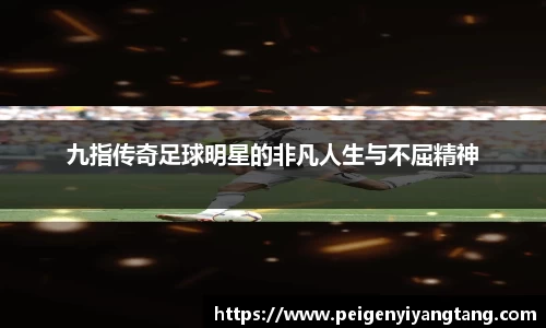 3377体育平台